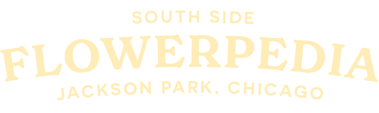 Jackson Park Wildflowers