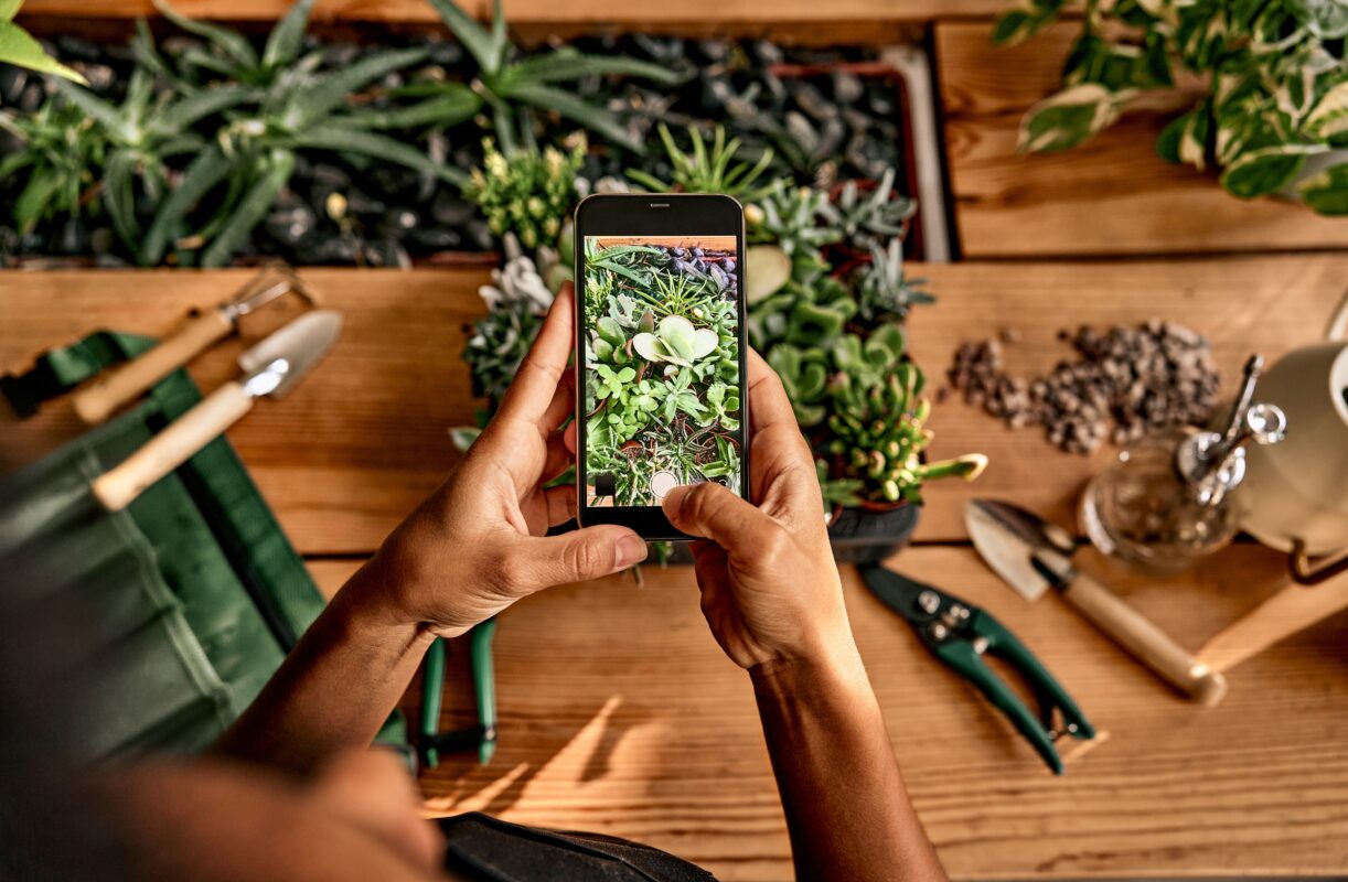 A woman takes a photo of a succulent on a potting bench using her smartphone.